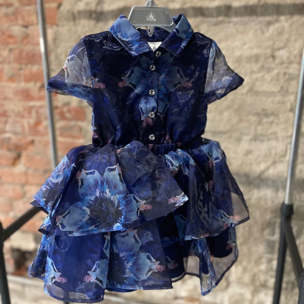 Disney World Cinderella Girls Dress Size 3T NWOT